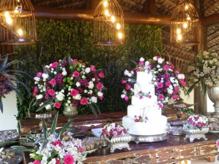 Casamento Tania e Diego